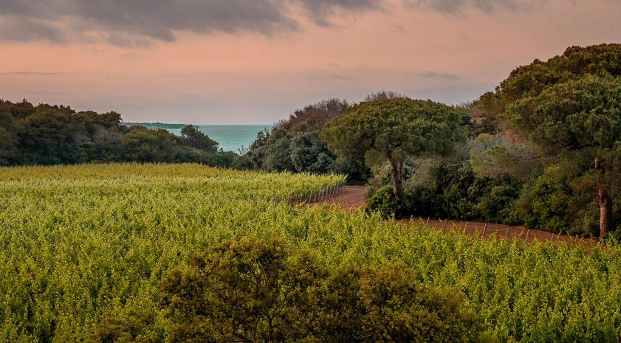 Masseria Mongio Dell'Elefante Otranto Dış mekan fotoğraf