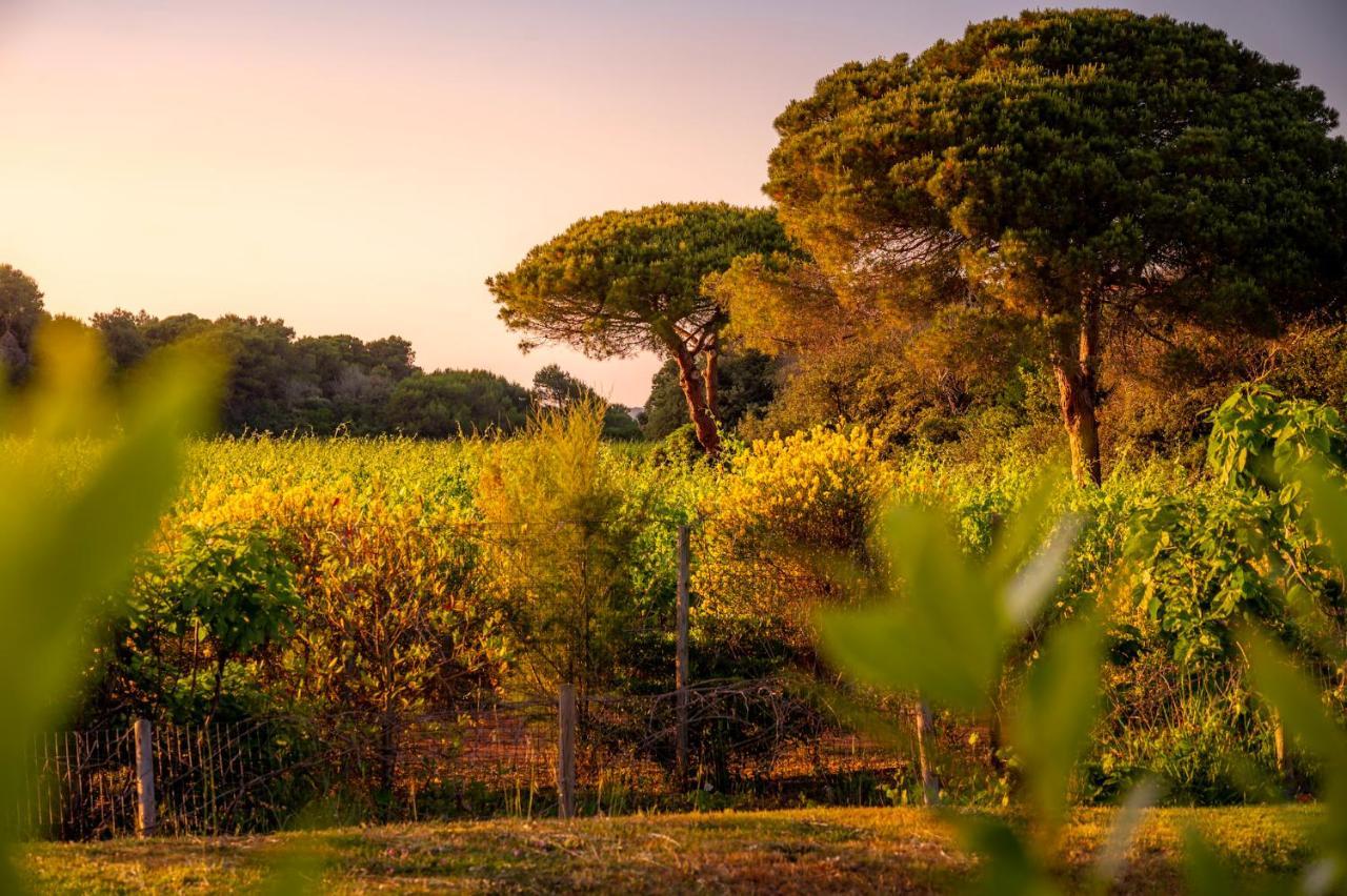 Masseria Mongio Dell'Elefante Otranto Dış mekan fotoğraf