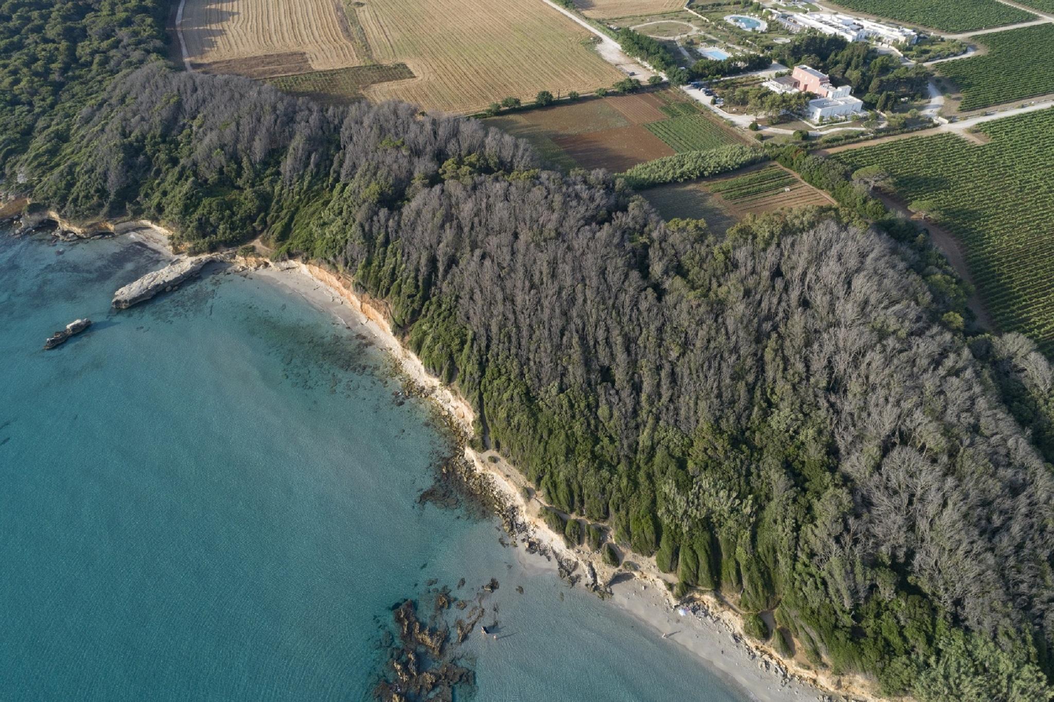 Masseria Mongio Dell'Elefante Otranto Dış mekan fotoğraf