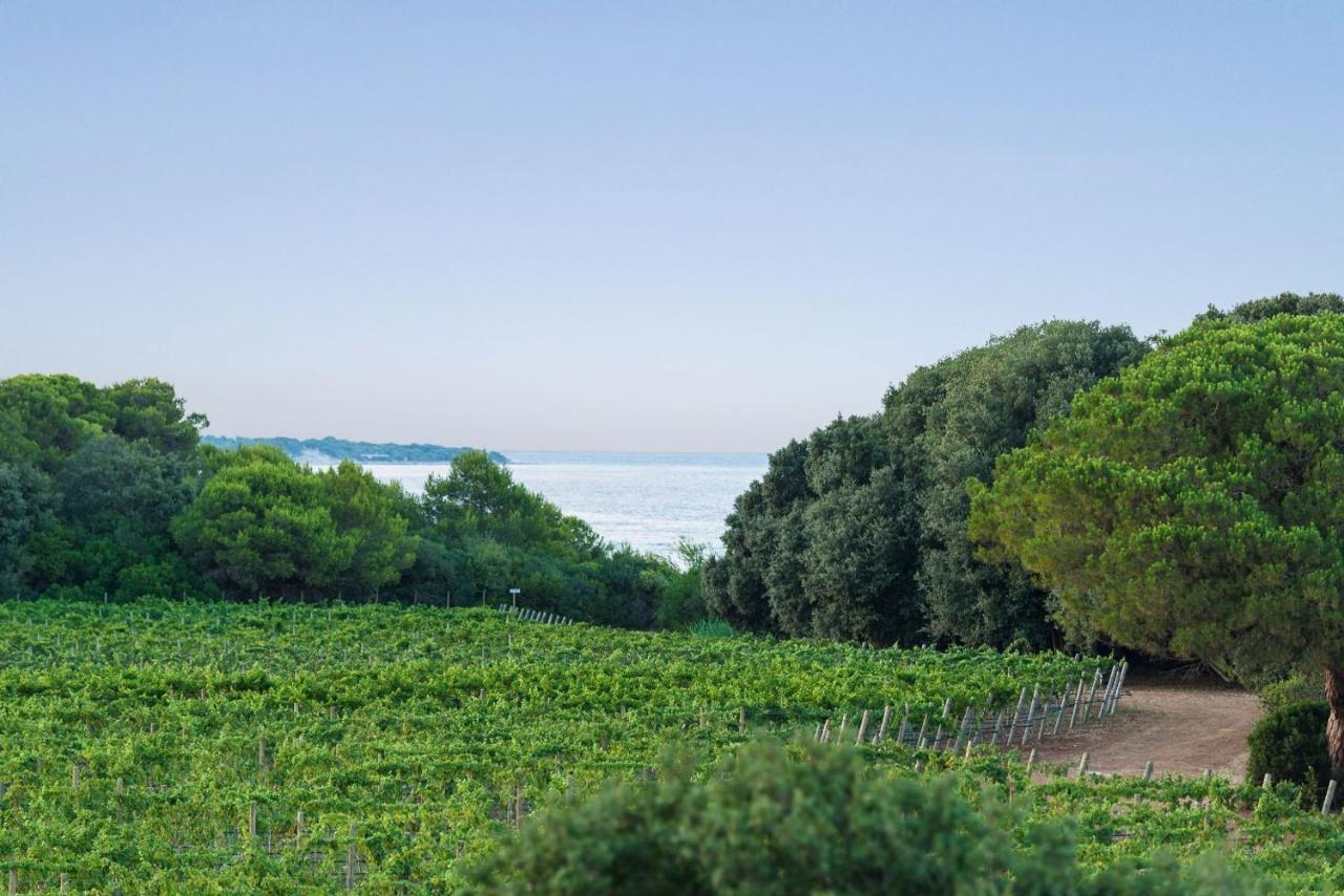 Masseria Mongio Dell'Elefante Otranto Dış mekan fotoğraf